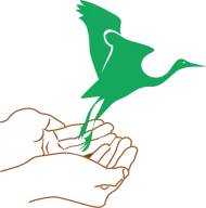 Cranemassagetherapy.com Favicon