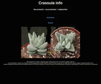 Crassula.info(Dit domein kan te koop zijn) Screenshot