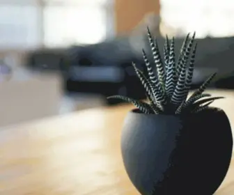 Crassulaceae.net(Blog jardin) Screenshot
