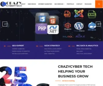 Crazycybertech.com(SEO Agency India CrazyCyberTech) Screenshot