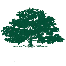 Create-Wealth.com Favicon