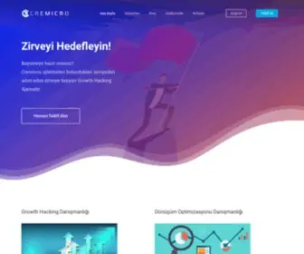 Cremicro.com(Digital Marketing Agency) Screenshot