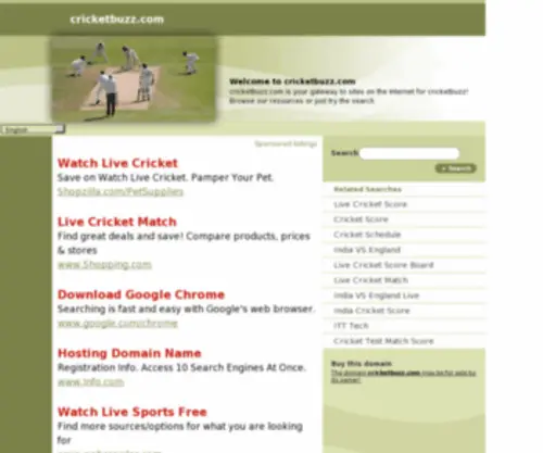 Cricketbuzz.com(Forsale Lander) Screenshot