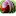 Cricketexperts.in Favicon