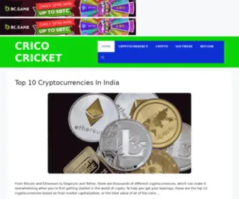 Cricothecricketcompany.com(BITCOIN AND SOFTWERE) Screenshot