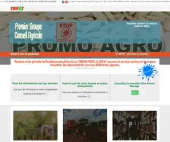 Crifatafrique.com(Groupe conseil agricole) Screenshot