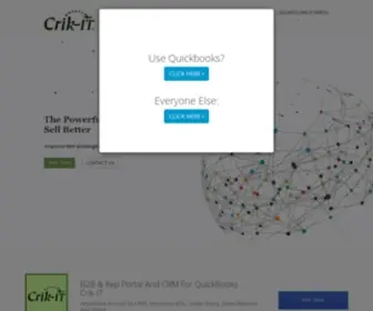 Crik-IT-Portal-For-Quickbooks.com(Crik IT Portal For Quickbooks) Screenshot