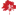 Crimsonforestfilms.com Logo