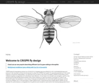 Crisprflydesign.org(Drosophila genome engineering) Screenshot