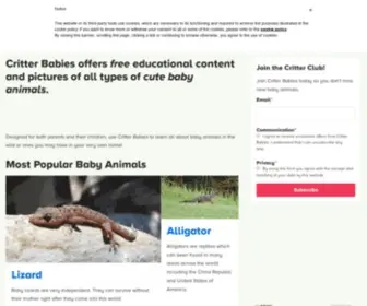 Critterbabies.com(Critter Babies) Screenshot