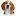 Crittercaper.com Favicon