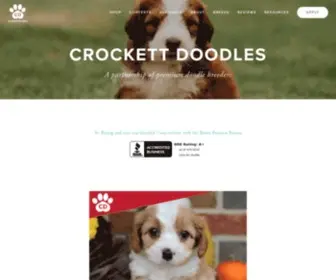 Crockettdoodles.com(Crockett Doodles) Screenshot