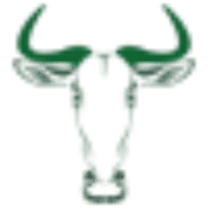 Crocodilebridge.com Favicon