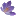 Crocussativus.eu Favicon