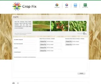 Cropfix.com(Crop Fix) Screenshot