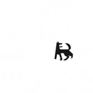 Crossfitwolfsburg.com Favicon