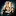 Crowdedhouse.com Favicon