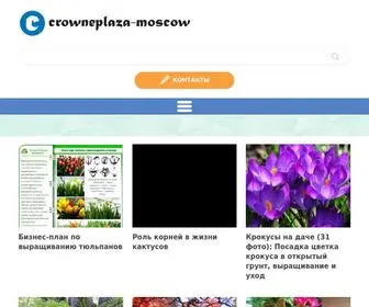 Crowneplaza-Moscow.ru(Я путешественник) Screenshot