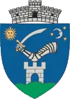 Csernaton.ro Logo
