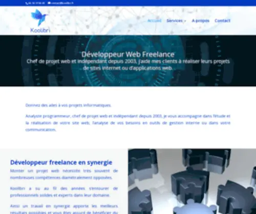 Csid-Solutions.com(Création de sites internet et développement web) Screenshot