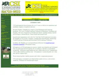 Csilandscaping.com(CSI Landscaping) Screenshot