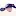 Csipads.com Favicon