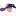 Csisaddlepads.com Favicon