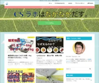 Csnaka.com(CSラボラトリーズ) Screenshot