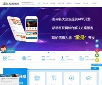 Csobtk.com(湖南长沙欧柏信息技术公司) Screenshot