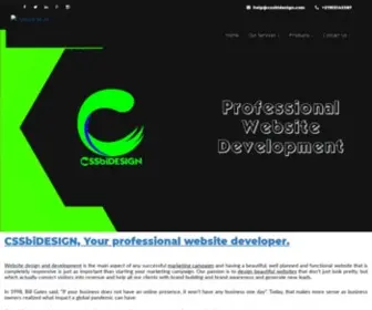 CSsbidesign.com(The Professional Website Developers) Screenshot