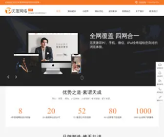 CSTPWL.com(长沙天蓬网络科技有限公司) Screenshot