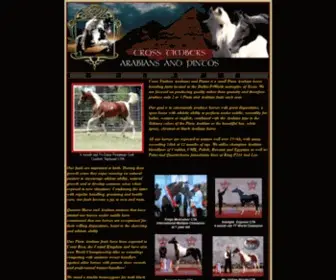 Ctarabians.com(Cross Timbers Arabians and Pintos) Screenshot