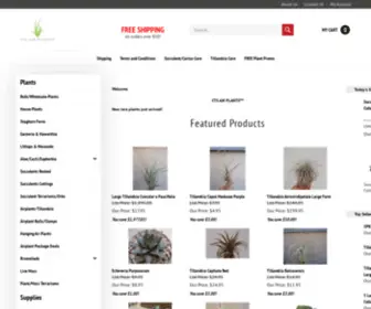 Ctsairplants.com(Air Plants & Air Plants Supplies for Your Home) Screenshot