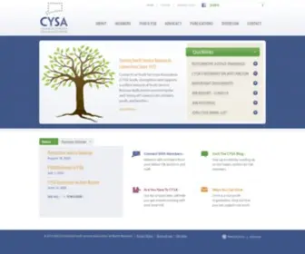 Ctyouthservices.org(Home) Screenshot