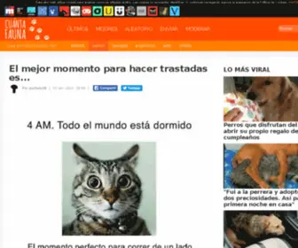 Cuantogato.com(Gato) Screenshot