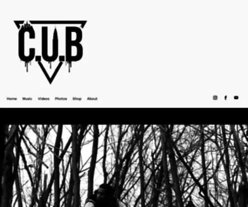 Cubmusic.com(Cubmusic) Screenshot