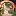 Cuccerrescoffee.com Favicon