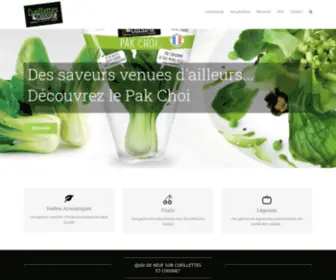 Cueillettesetcuisine.com(Jardins du Midi) Screenshot