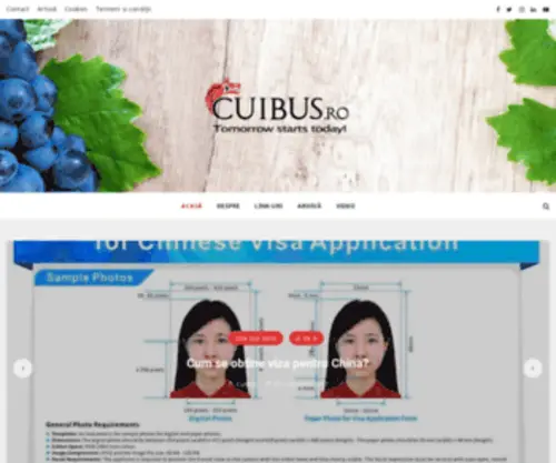 Cuibus.ro(Tommorrow starts today) Screenshot