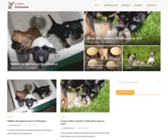 Cuidados-Chihuahua.com(Cuidados Chihuahua) Screenshot