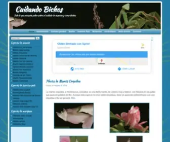 Cuidandobichos.com(Cuidando Bichos) Screenshot