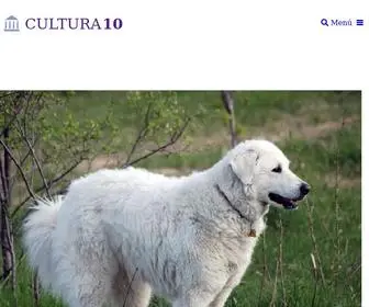 Cultura10.com(Cultura en general) Screenshot
