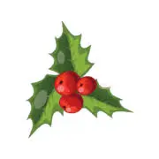 Cunavidad.com Logo