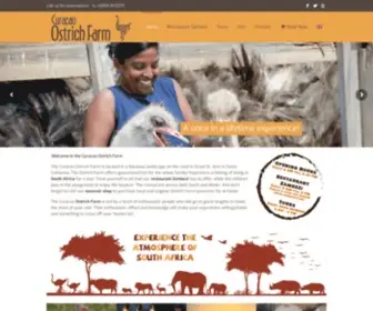 Curacaoostrichfarm.com(Welkom bij de Struisvogel Farm Curacao. De Ostrich Farm) Screenshot