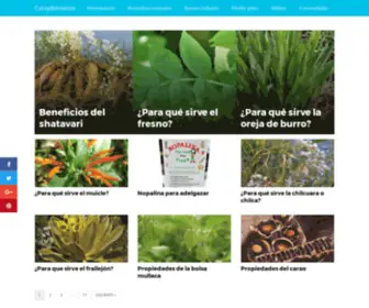 Curaybienestar.com(Lo mejor de la naturaleza) Screenshot