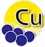 Curinjo.com Logo