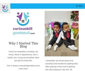 Curiousbillgentlebull.com(Curiousbill Gentlebull) Screenshot