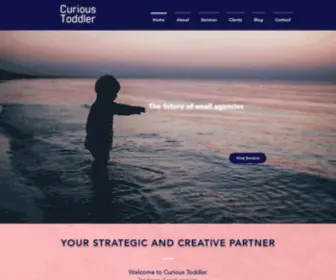 Curioustoddler.com(We strive to help brands & companies grow. We offer a diverse range of services) Screenshot