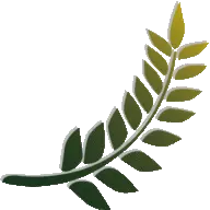 Curryleaftree.com Favicon