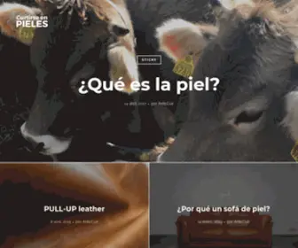 Curtirseenpieles.com(Blog de Cueros y Pieles) Screenshot